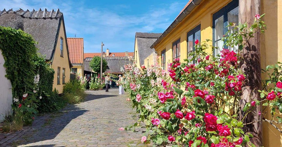 Kopenhagen & Fischerörtchen Dragør mit traditionellen Erfrischungen