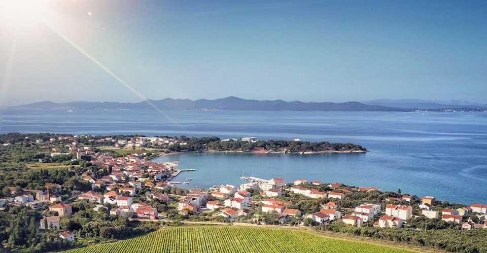 Zadars Weinberge entdecken 
