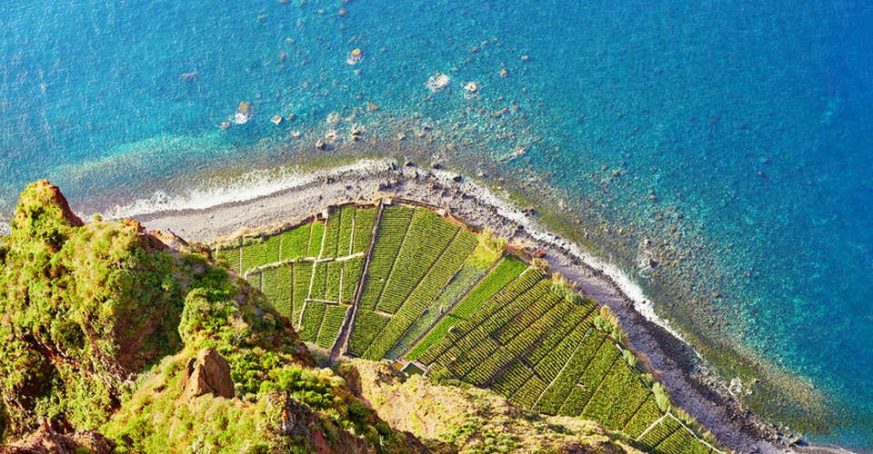 Aerial view of green terrace fields and ocean shore at Cabo Girao, Madeira, Portugal