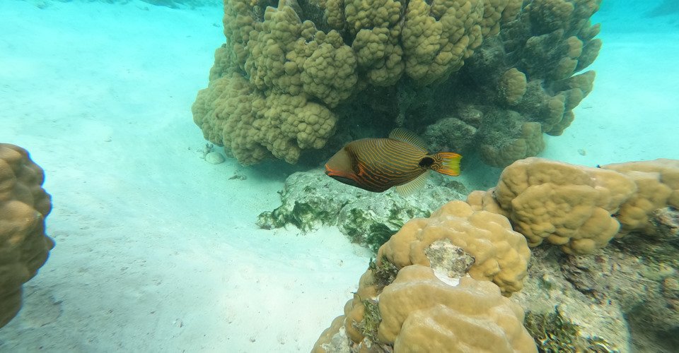 DCIM\100GOPRO\GOPR0486.JPG