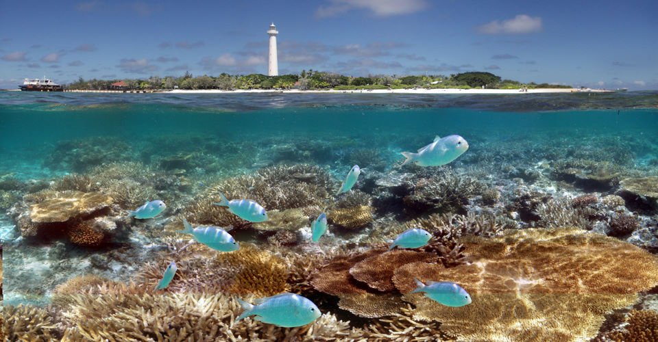 the reefs and Amedee Island MaryD Enterprises Noumea Nouvelle Caledonie