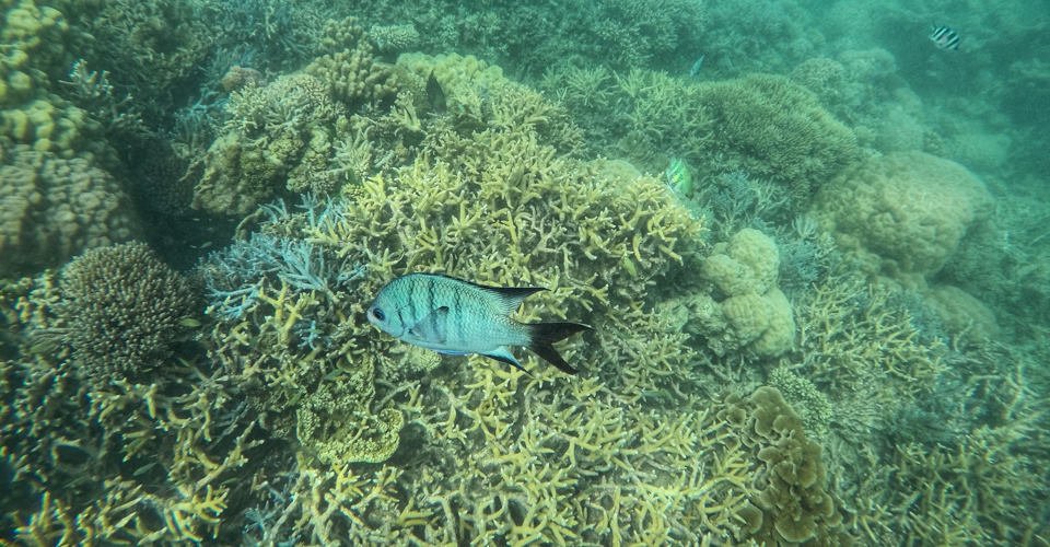 DCIM\100GOPRO\GOPR1490.JPG