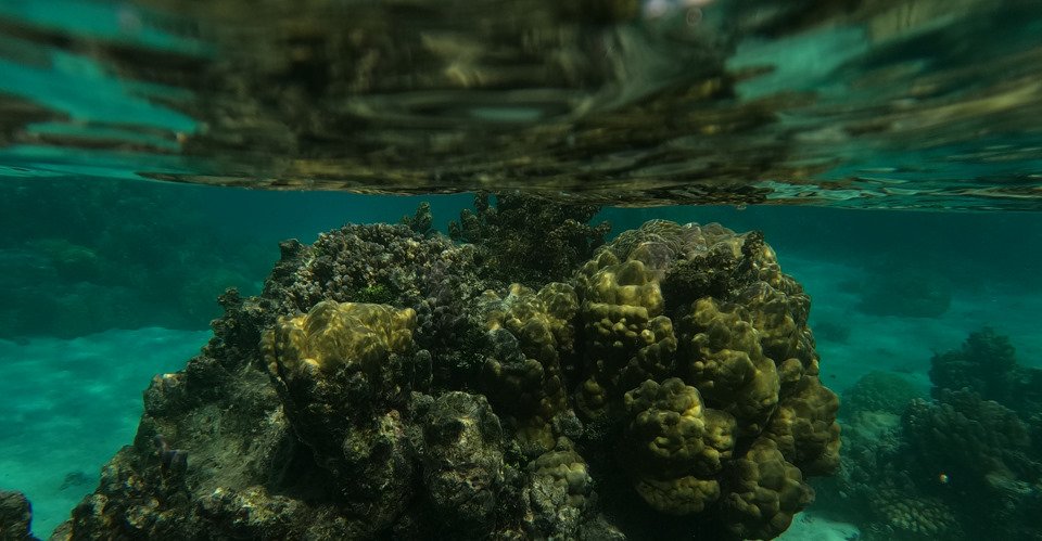 DCIM\100GOPRO\GOPR0747.JPG