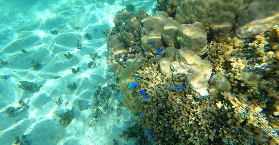 DCIM\100GOPRO\GOPR0722.JPG