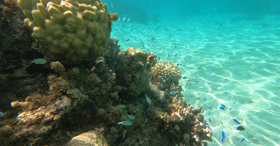 DCIM\100GOPRO\GOPR0676.JPG