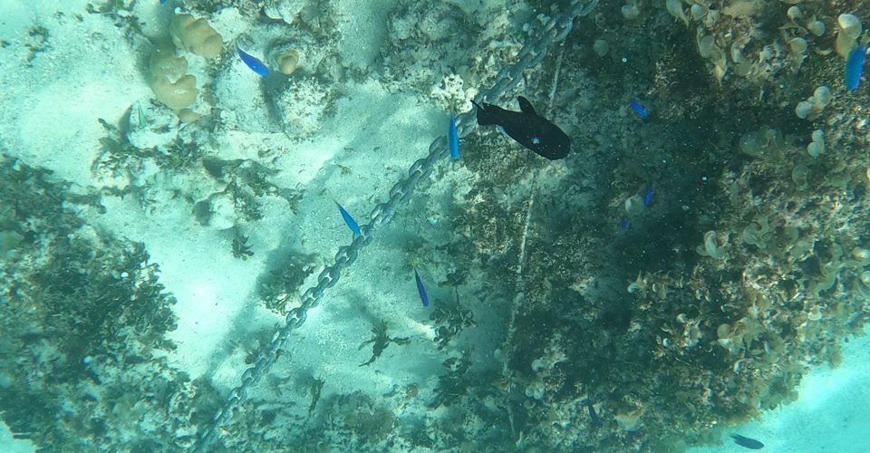 DCIM\100GOPRO\GOPR0172.JPG