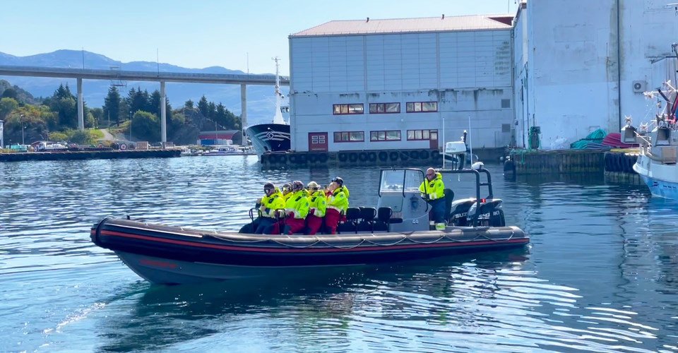 RIB Safari