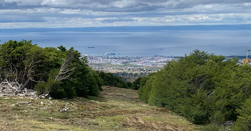 Wanderung im Magellan-Park und Fort Bulnes