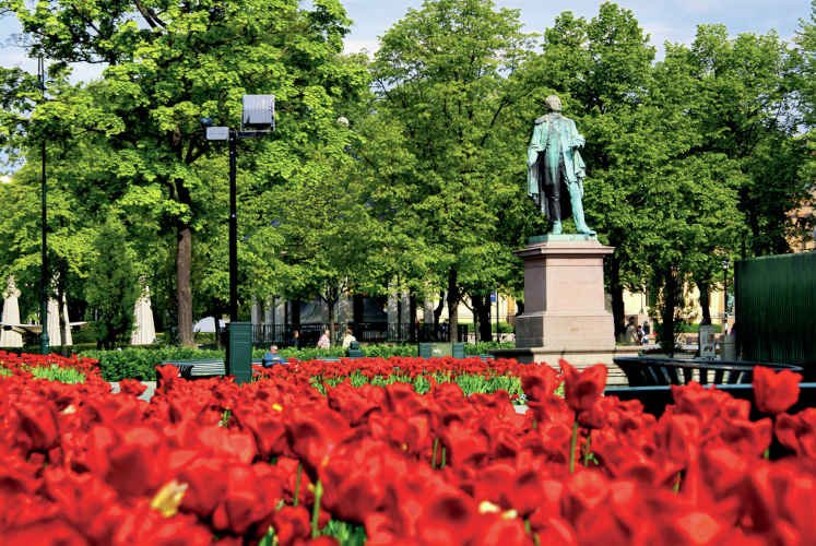 Nordeuropa 5 mit AIDAcara
