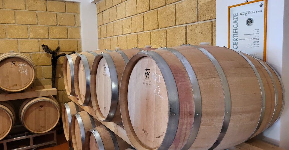 Sizilianisches Weingut und Palermos Panorama
