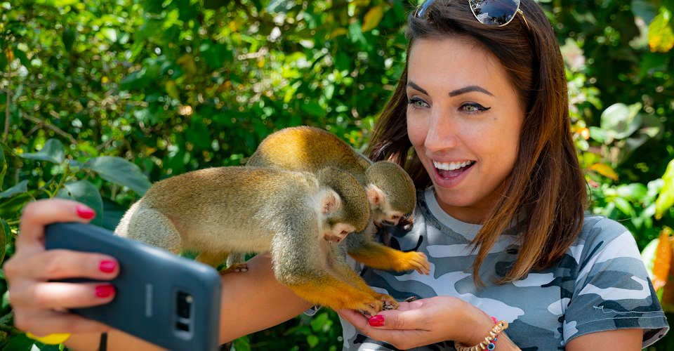 Tierisch verspielt: Monkeyland