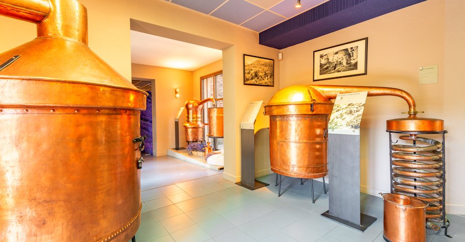 MUSEE_DE_LA_LAVANDE_PROVENCE