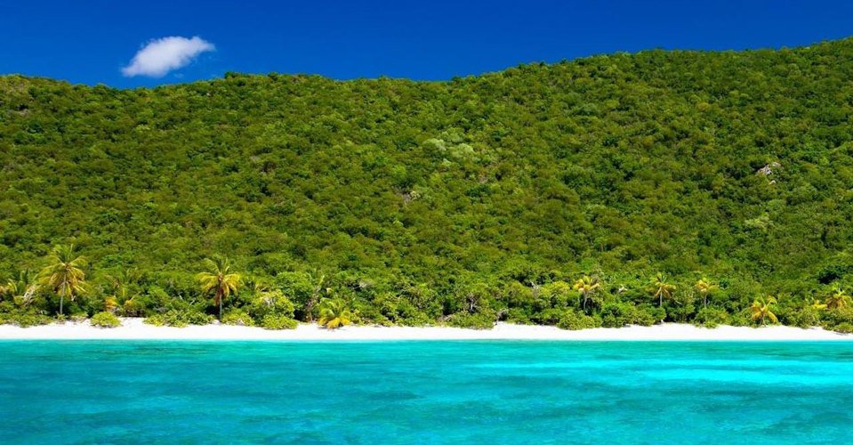 Exklusiv: Mit dem Speedboot zum Privatstrand auf Guana Island