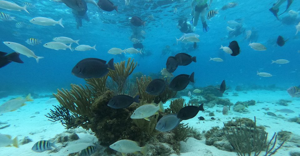 DCIM\100GOPRO\GOPR0057.JPG