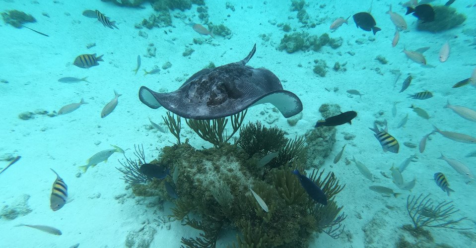 DCIM\100GOPRO\GOPR0059.JPG