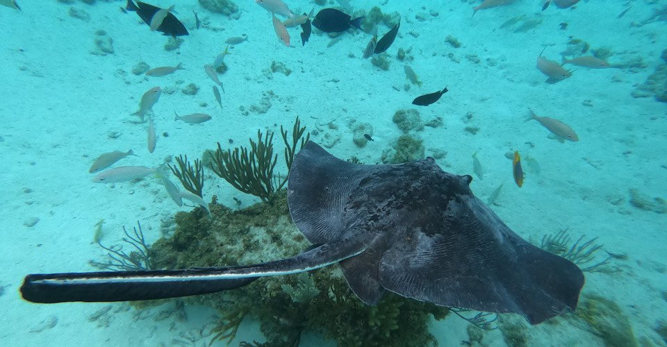 DCIM\100GOPRO\GOPR0060.JPG