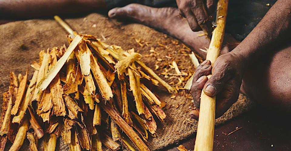 Hands of the man preparing cinnamon sticks. Manual worker in Sri Lanka.