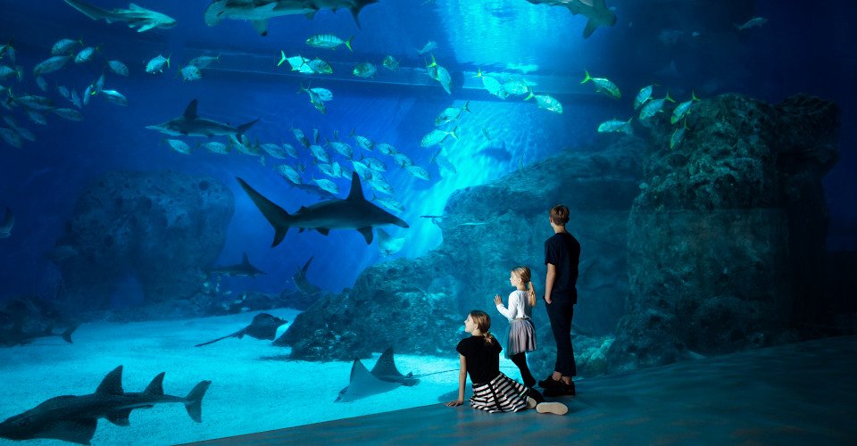 Kopenhagen & Aquarium