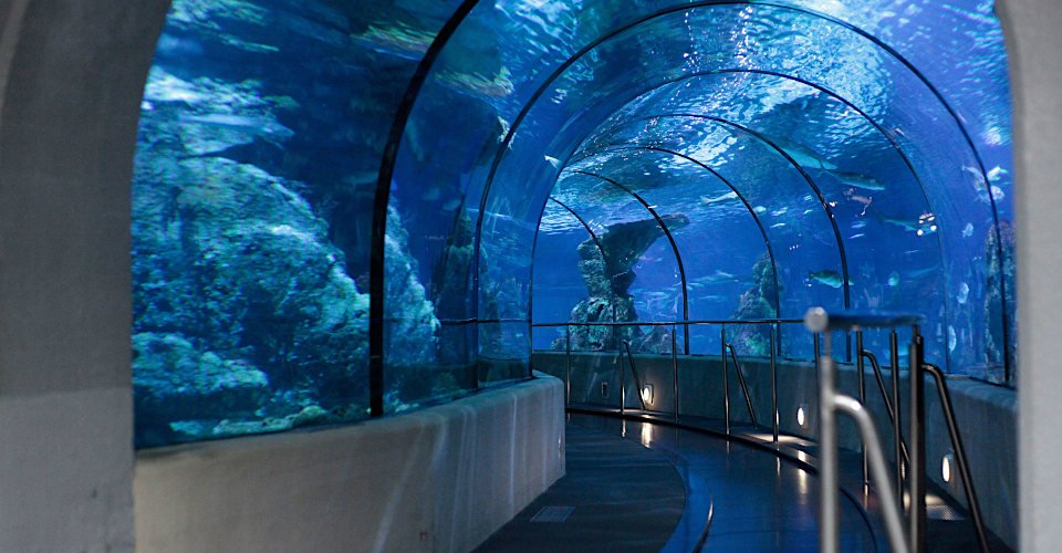 Barcelonas Aquarium und Gotisches Viertel
