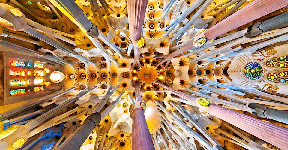 Inside of Sagrada Familia, church ceiling