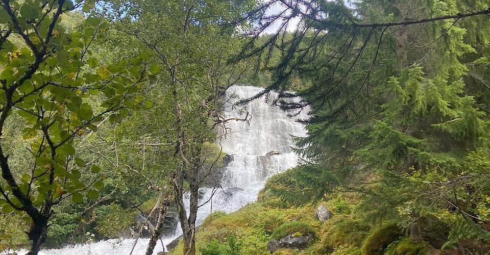 Abenteuerliche Wasserfallwanderung