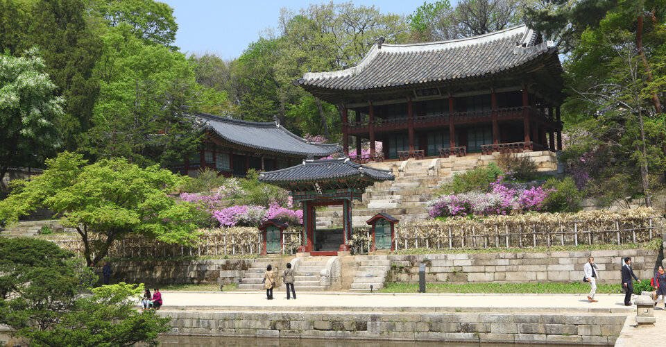 Koreanischer Kochkurs und Seoul