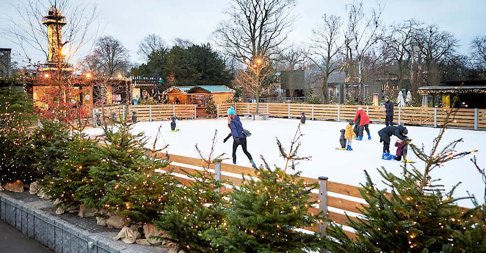 Märchenhaft: Zum Weihnachtsmarkt im Zoo