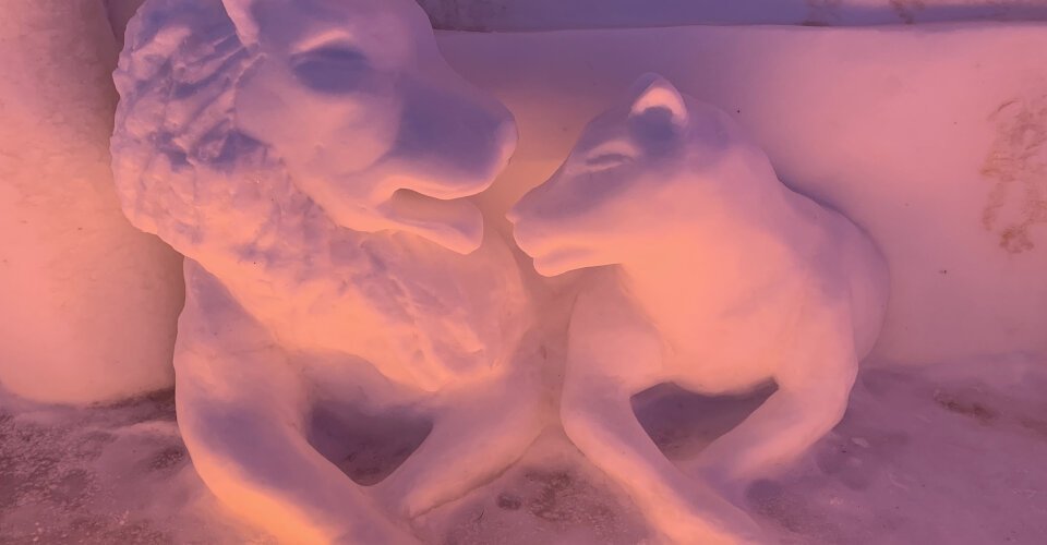 Zu Besuch im Sorrisniva Igloo Hotel 