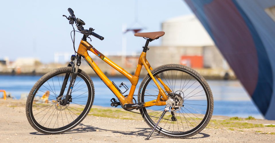 Mit dem Fahrrad individuell unterwegs - Größe L