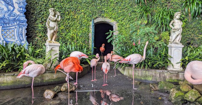 Grünes Funchal: Santa-Catarina-Park und Monte-Palace-Tropical-Garden