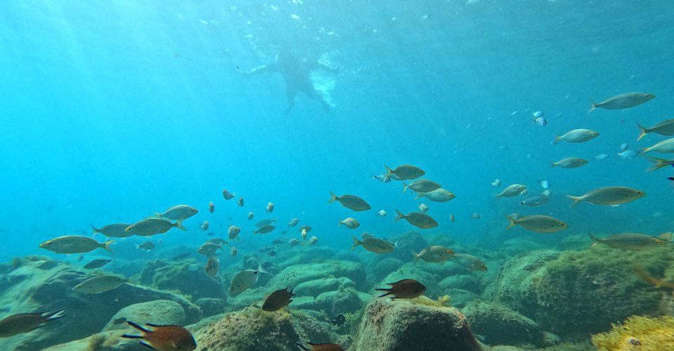 DCIM\100GOPRO\GOPR2867.JPG
