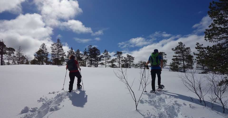 Exklusiv: Schneeschuhwanderung in kleiner Gruppe