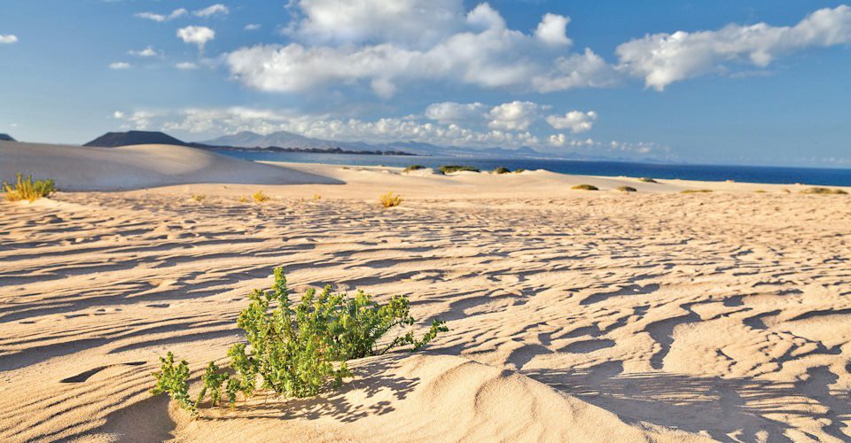 Corralejo dunes, Fuerteventura. Canary Islands, Spain