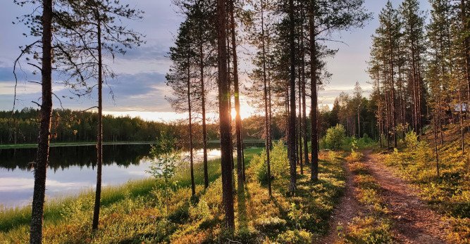 Waldspaziergang durch die schöne Natur Finnlands