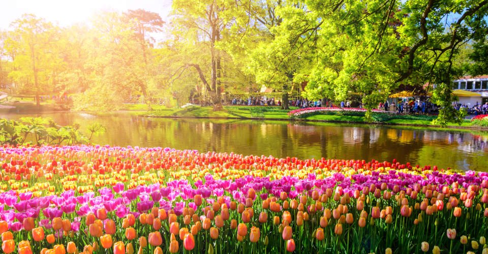 Ein halber Tag im Blumenparadies Keukenhof