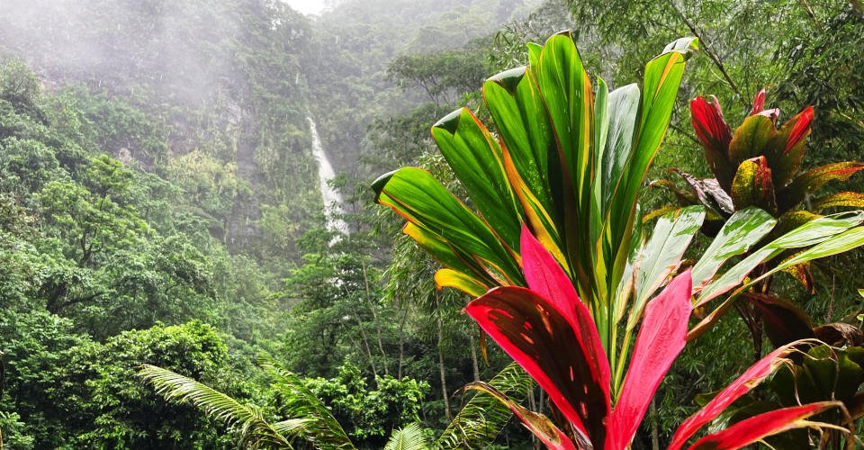 Tahitis Highlight im Norden: Faarumai Wasserfall, Blow Hole und Landzunge Pointe Venus