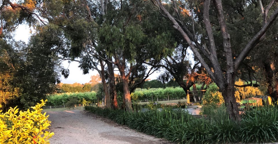 Ein Tag in McLaren Vale, dem Zentrum der Weinbranche von Südaustralien