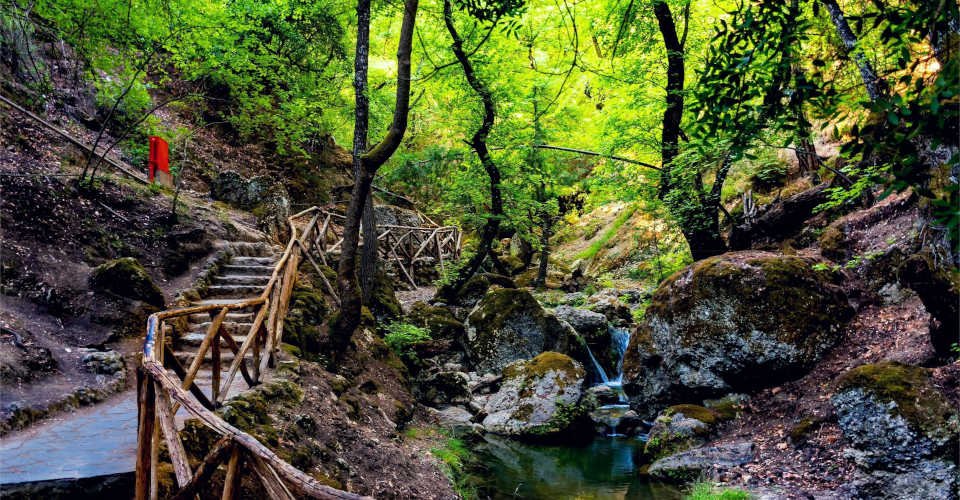 Weinverkostung und Naturspaziergang