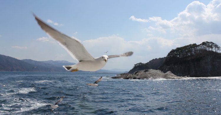 Beeindruckende Panoramafahrt entlang der Ostküste Japans