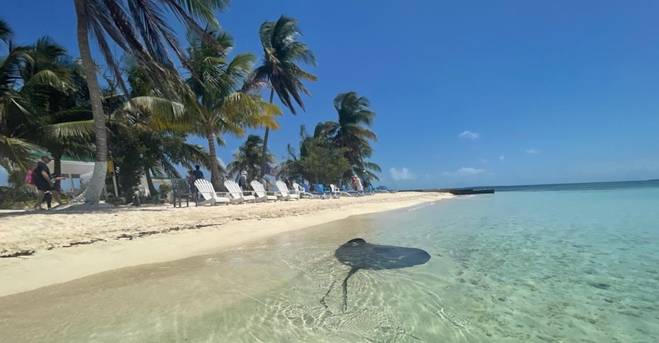 Rendezvous Caye: Schnorcheln am Belize Barrier Reef