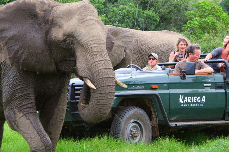 Overland: Safari im Wildreservat Kariega und Kariega Main Lodge (Doppelzimmer)