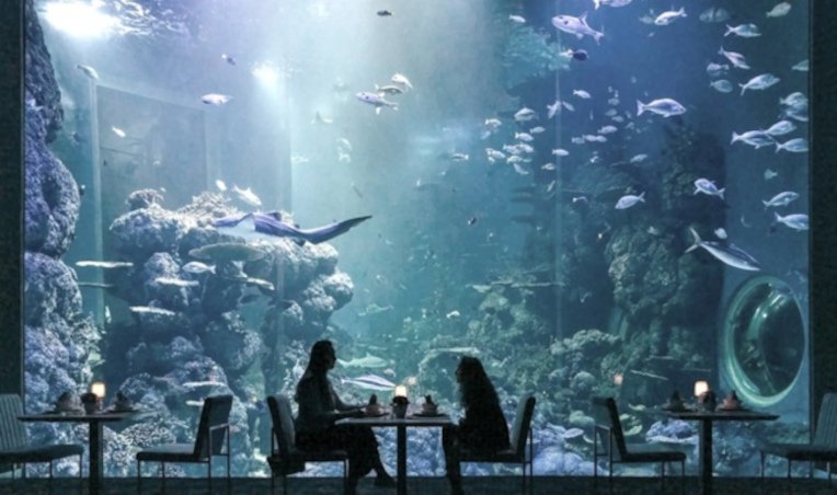 Oman Aquarium und Shopping