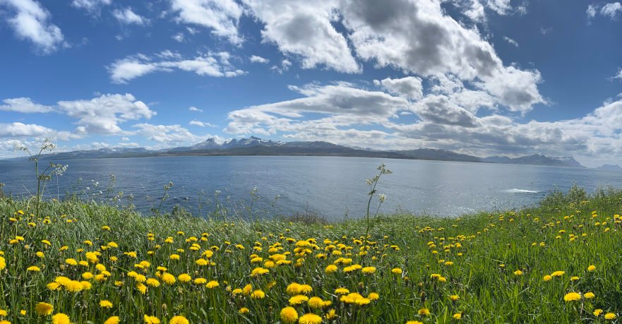 Idyllisches Leben im Norden mit dem Bike