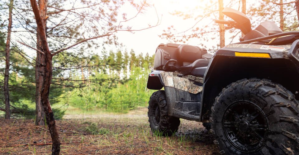 ATV awd quadbike motorcycle pov view near tree in coniferous pine foggy forest with beautiful nature landscape morning mist. Offroad travel adventure trip expedition. Extreme recreation activity