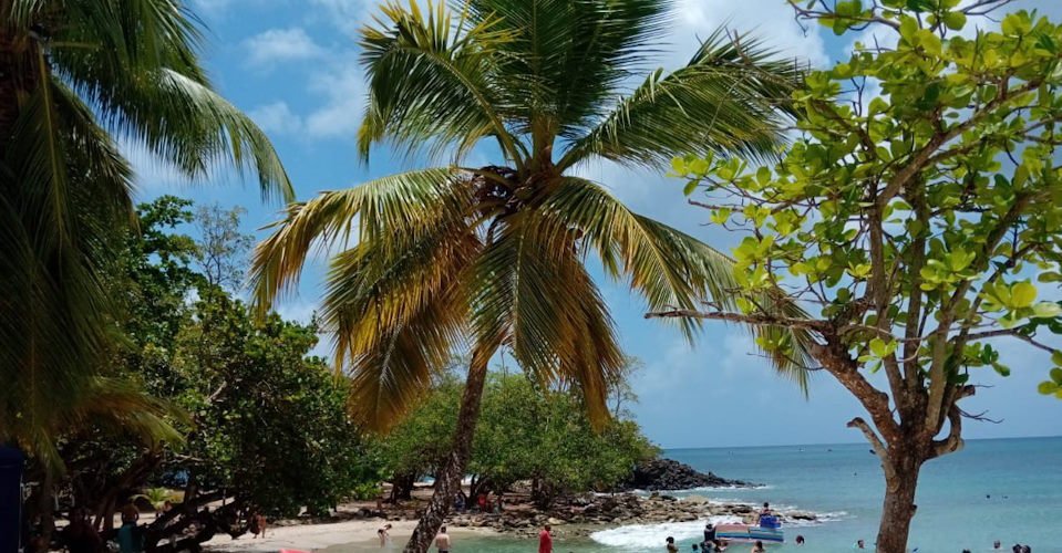 Strandtransfer: Anse Figuier