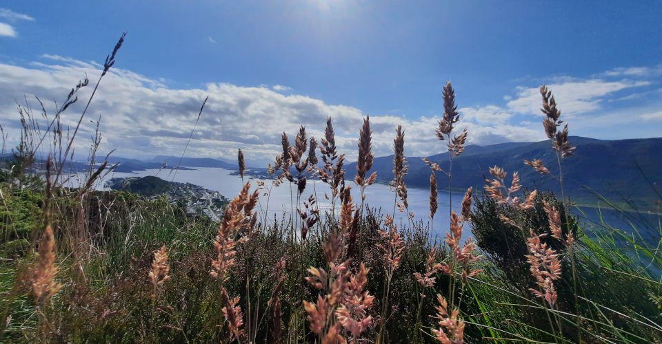 Wanderung auf den Berg Sukkertoppen