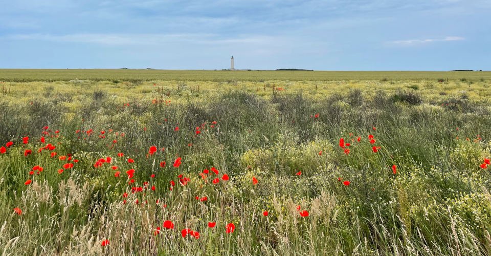 Wanderung entlang des Carteret Cap