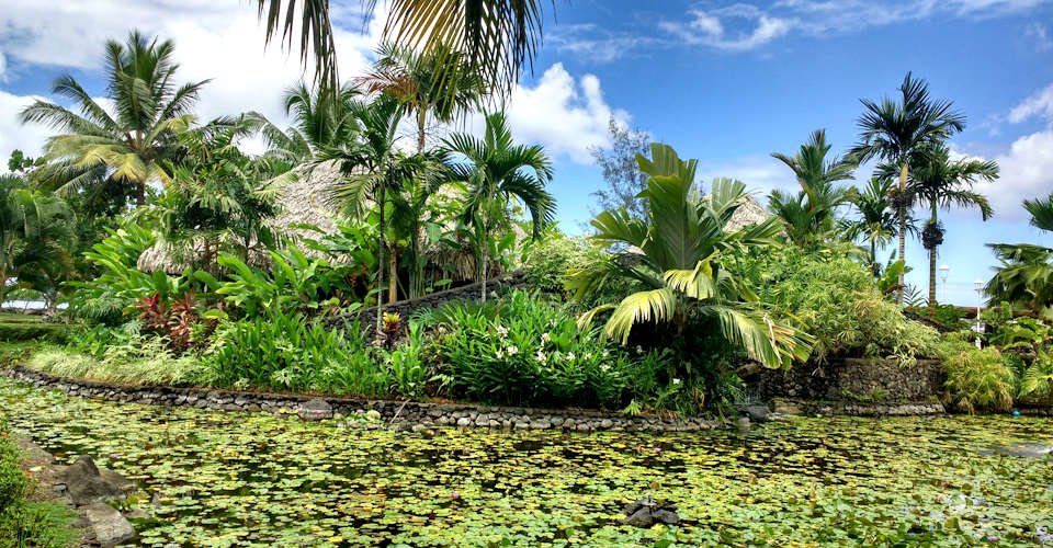 Wunder von Moorea auf einer Inseltour erleben