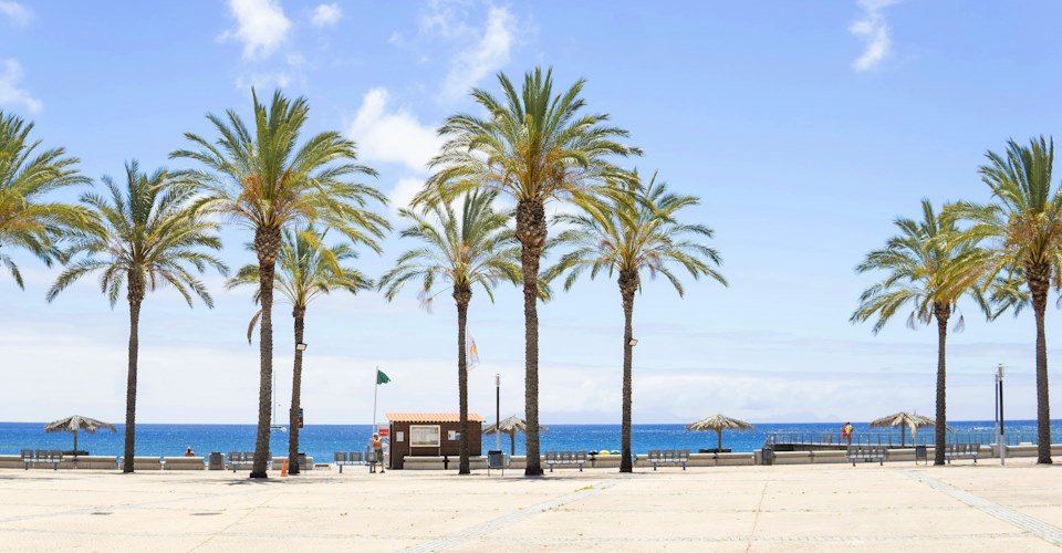 Barrierefrei Madeira in kleiner Gruppe erkunden