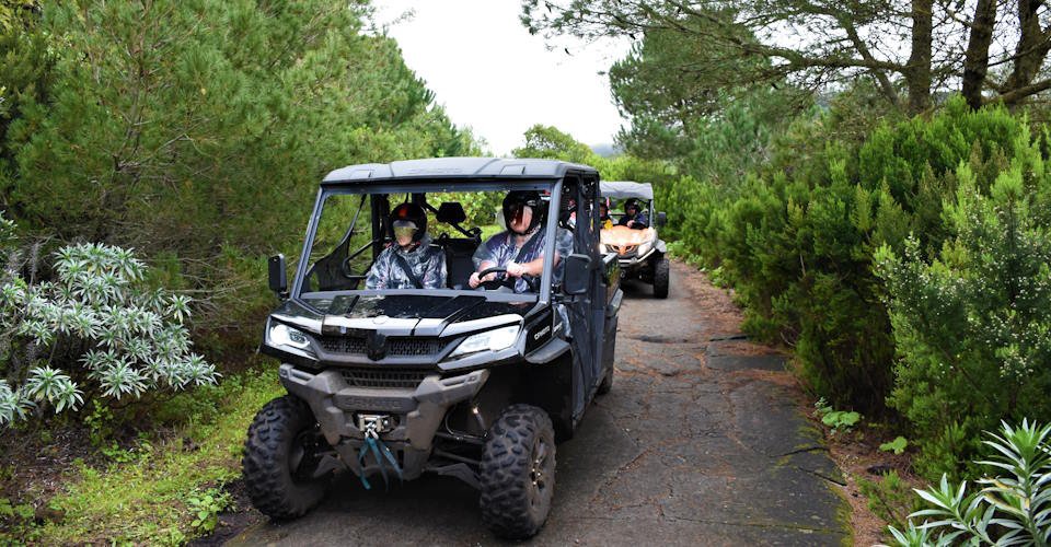 La Palma: Buggytour (4-Sitzer)